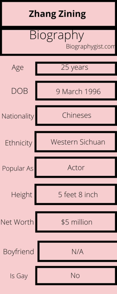 Zhang Zining Biography Infographic
