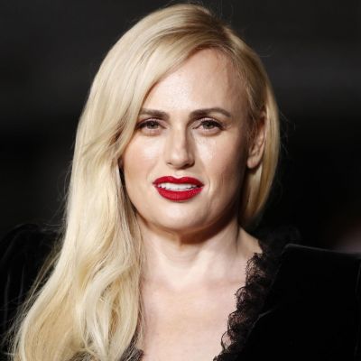 Rebel Wilson Astounded Fans When She Revealed She Had A Child Through ...