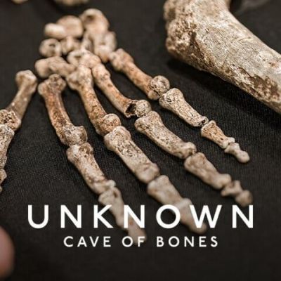 “Unknown: Cave of Bones” Is Set To Premiere On Netflix